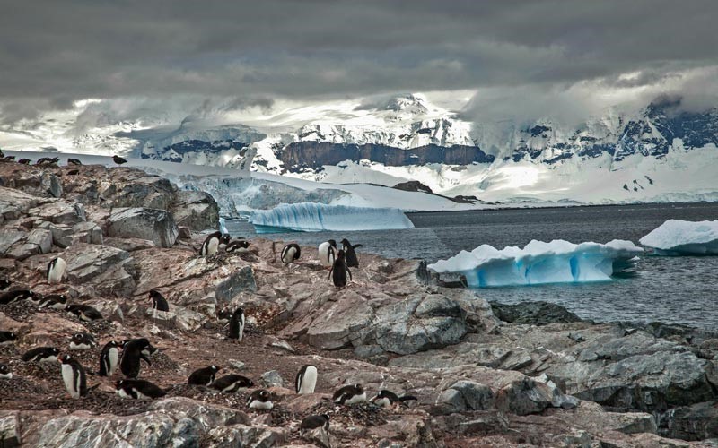 Antarctice is the coldest country in the world.