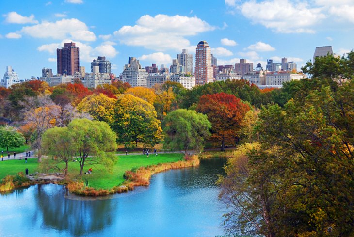 Central Park is very famous in new York city