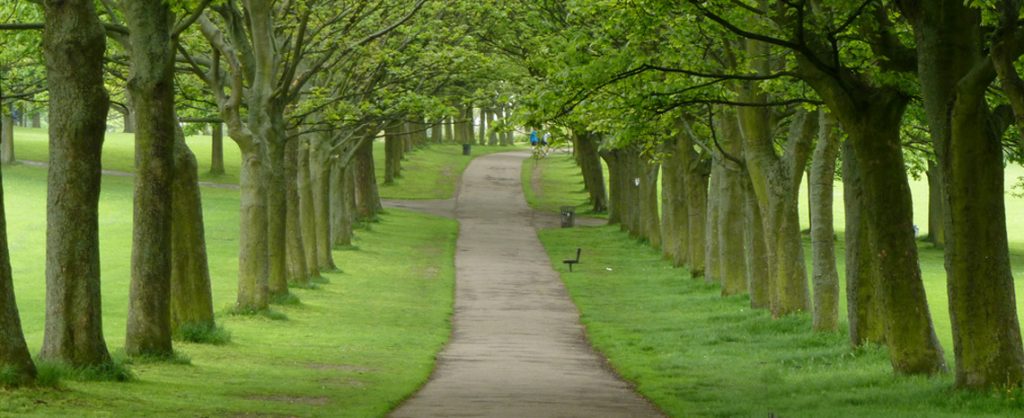 Hyde park is very populer in London and is one of the best park in the world.