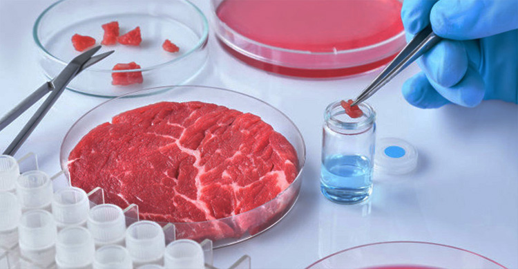 Hormone And Antibiotic Supplemented Meats