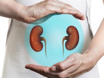 kidney health