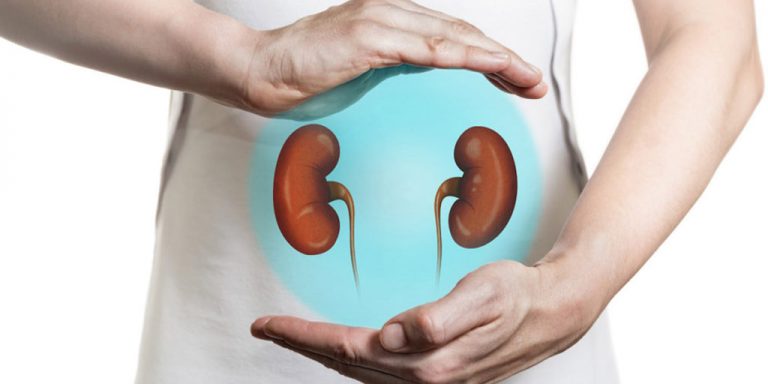 kidney health