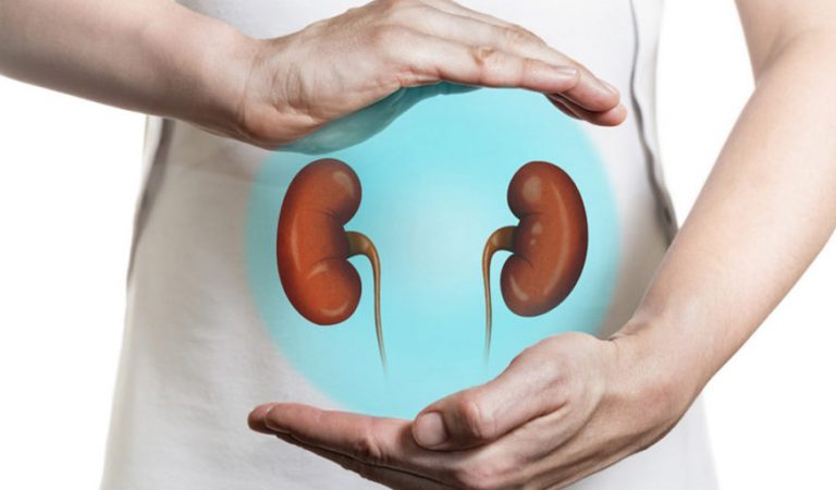 What Are The Most Effective Herbal Mixtures That Cleanse Your Kidneys!