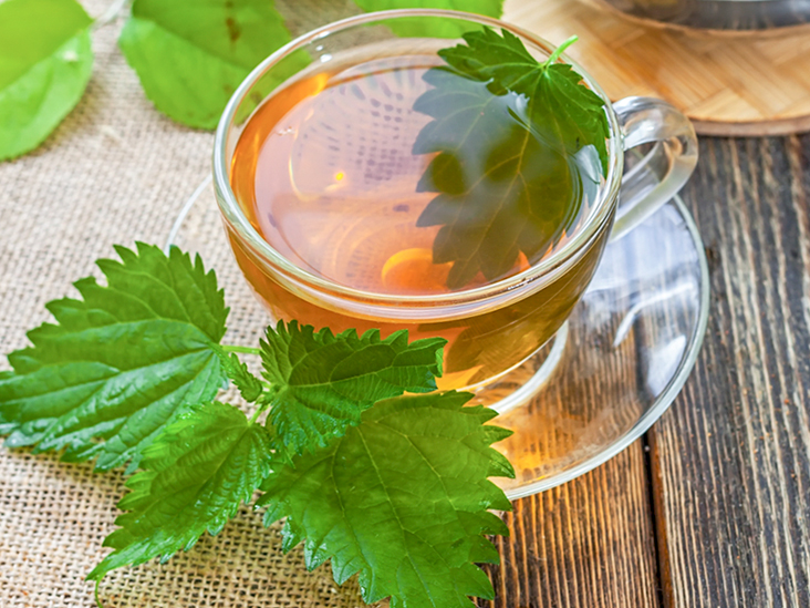 nettle tea