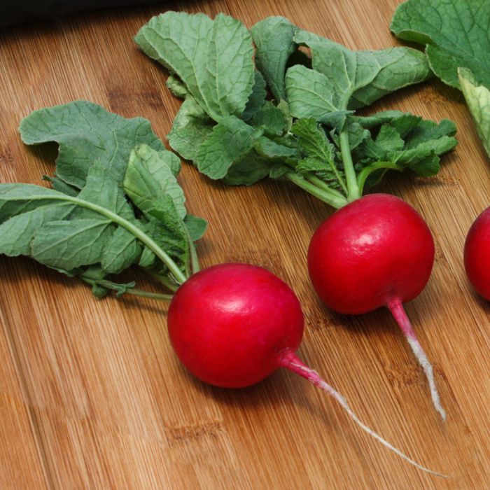 radish