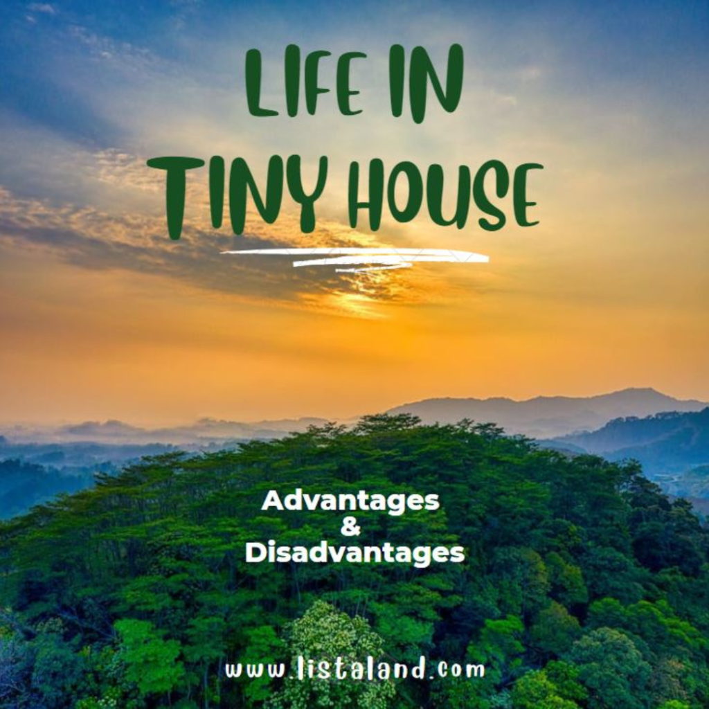 What Are the Advantages and Disadvantages of Living in A Tiny House ...