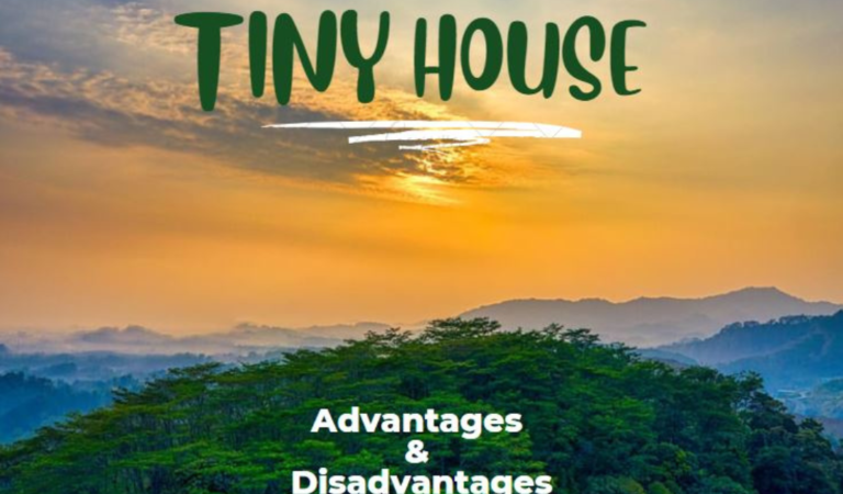 What Are the Advantages and Disadvantages of Living in A Tiny House?