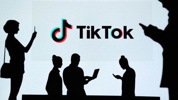 work from tiktok